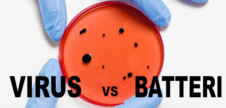 differenza tra virus e batteri