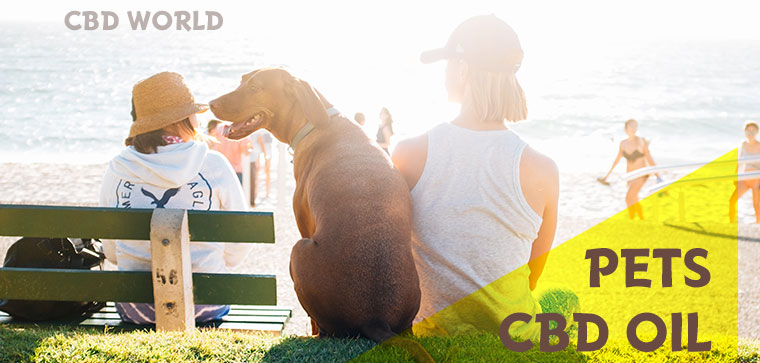 pets cbd oil