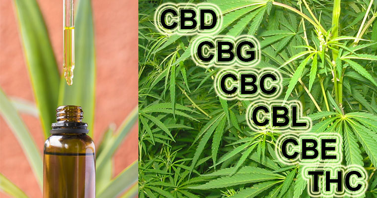cannabinoidi