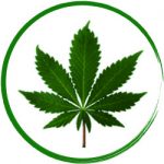 indica