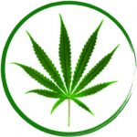 sativa