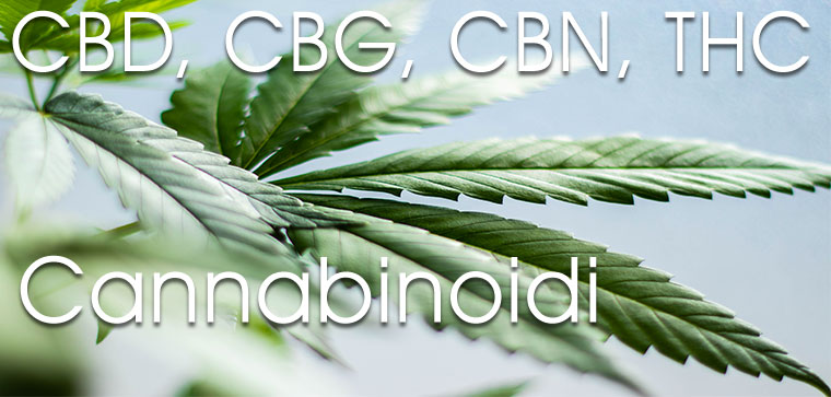 cannabinoidi