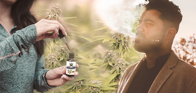 differenza tra oli al cbd e liquidi al cbd