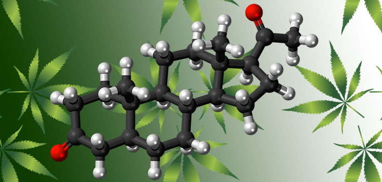 cannabis e ormoni
