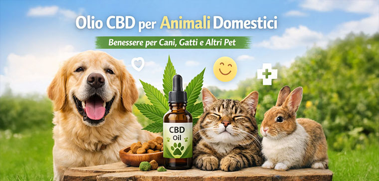 Oilio cbd animali domestici