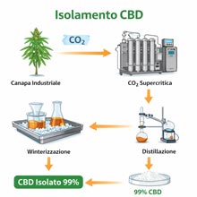 Processo di isolamento CBD